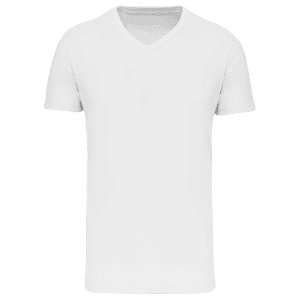 Heren-t-shirt BIO150 IC V-hals