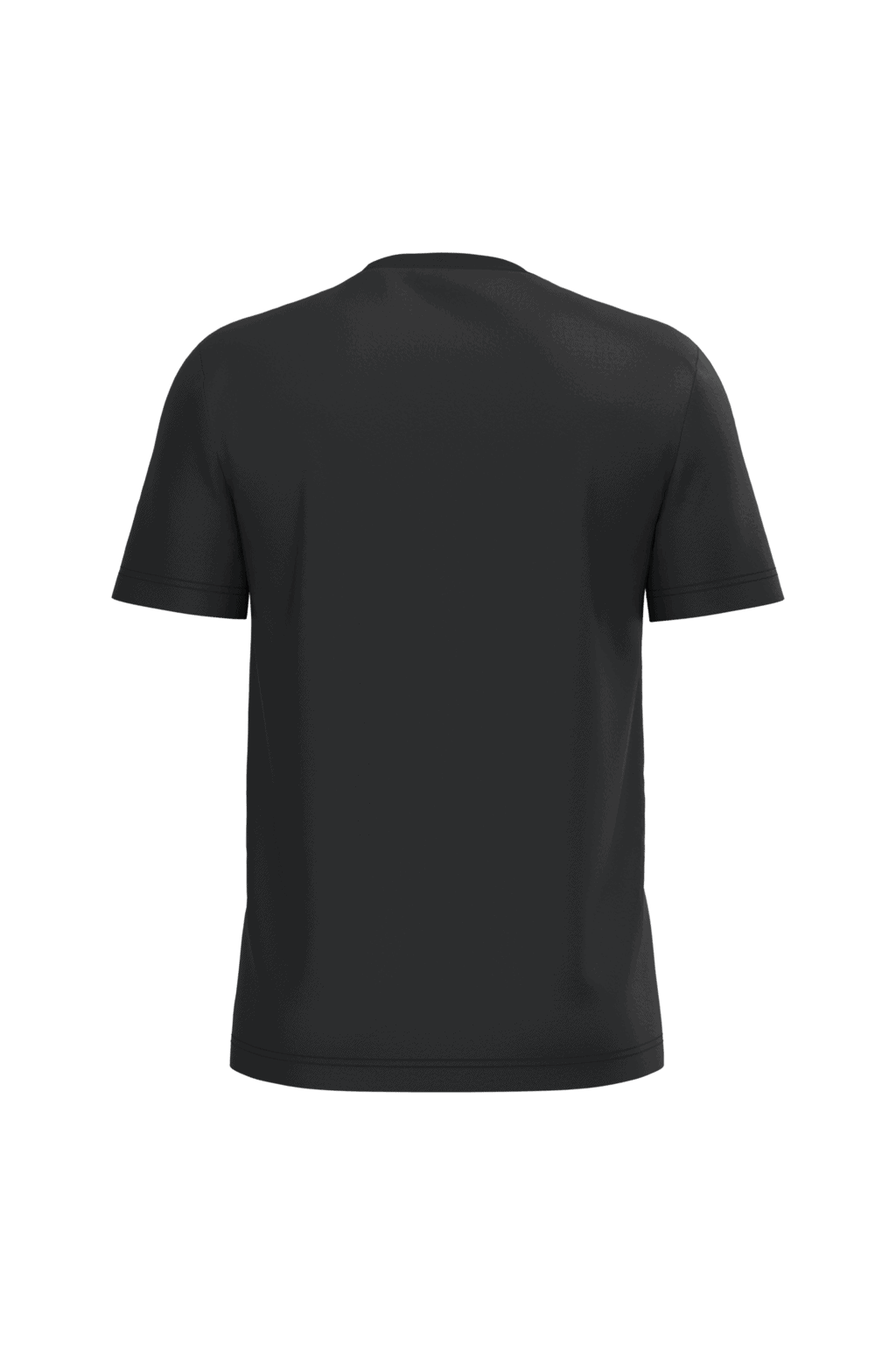 Heren T-shirt Bio190 IC - Afbeelding 5
