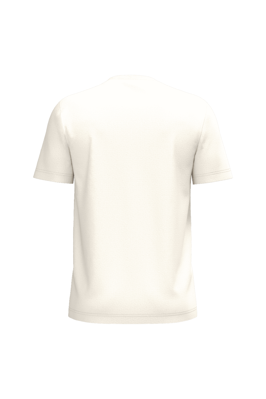 Heren T-shirt Bio190 IC - Afbeelding 65