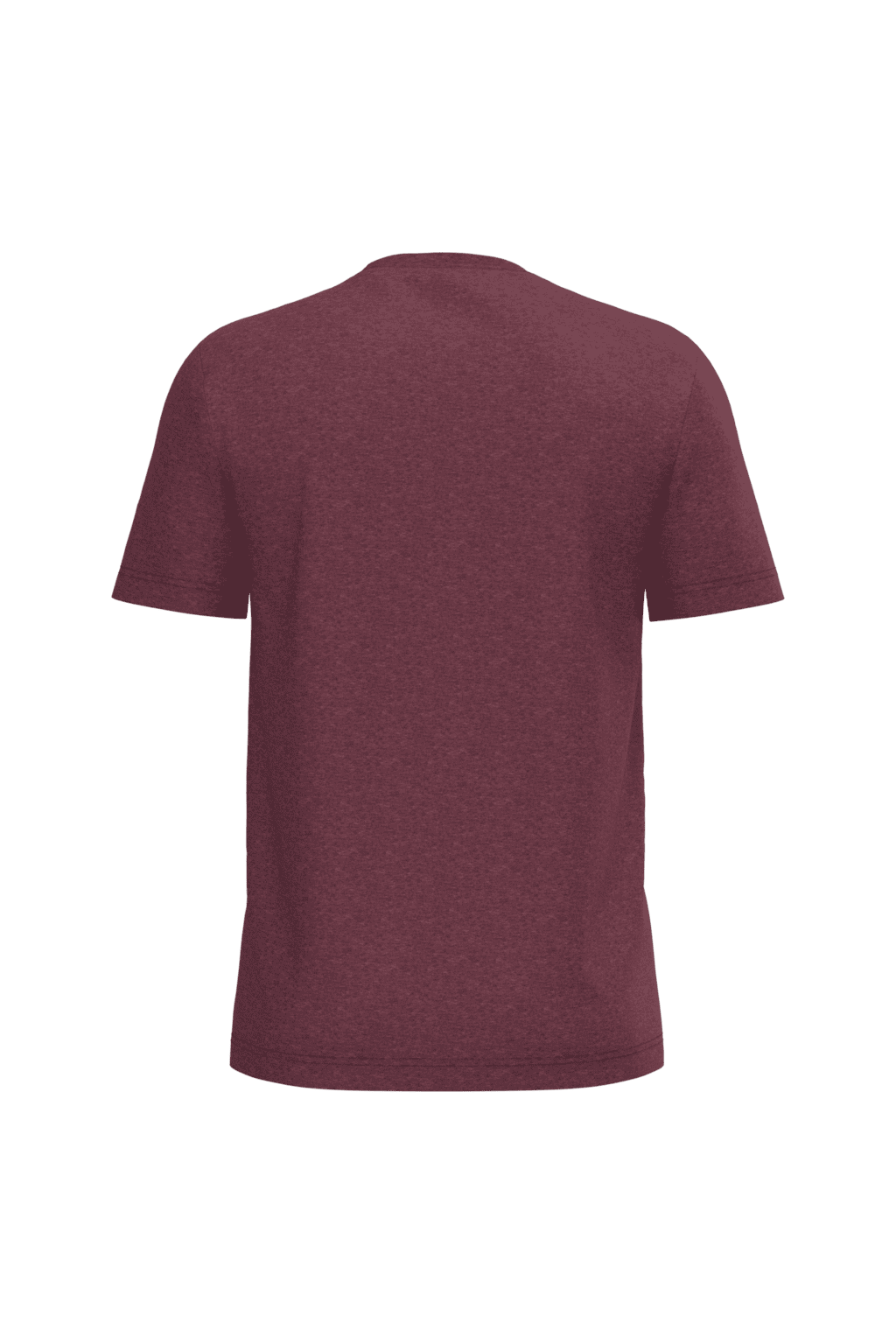 Heren T-shirt Bio190 IC - Afbeelding 59