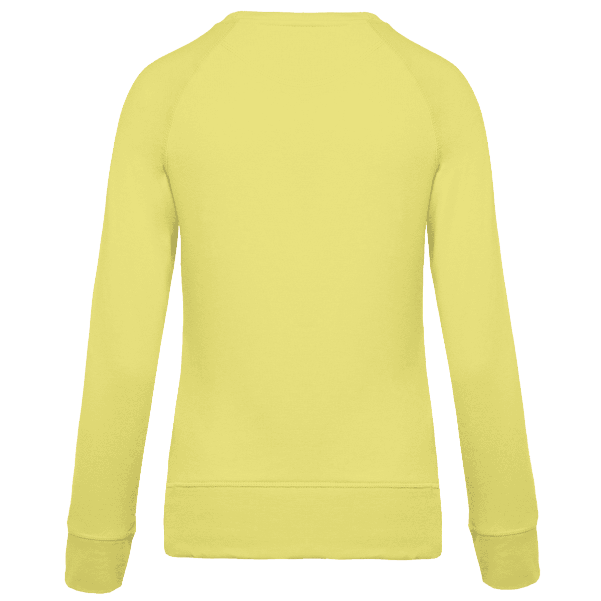 Damessweater BIO ronde hals raglanmouwen