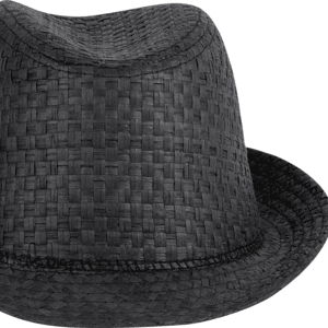Strohoed in retro Panama-stijl