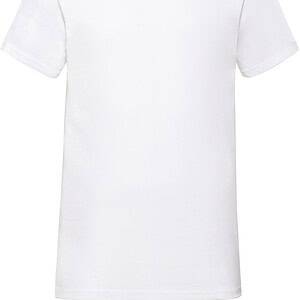 Men's Valueweight V-neck T-shirt (61-066-0)