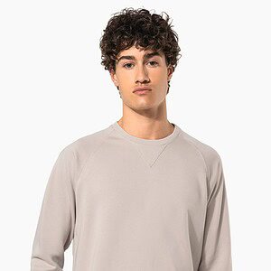 Herensweater BIO ronde hals raglanmouwen