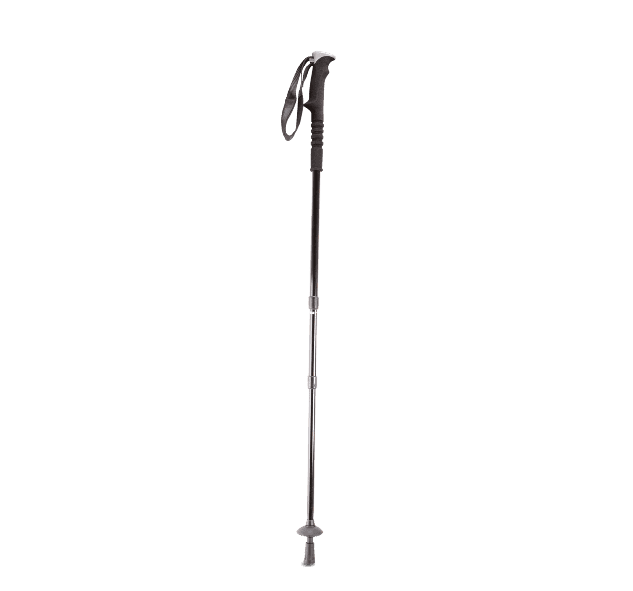 Wandelstok