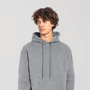 Hoodie Iconic 250